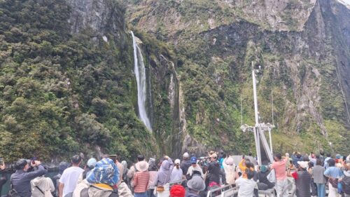 ミルフォードサウンド遊覧クルーズ25年12月31日気温20度ぐらい