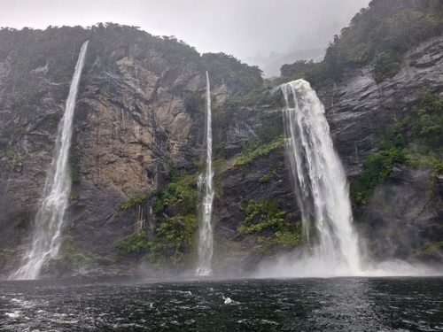 ミルフォードサウンドの遊覧クルーズで雨の日にはフェアリーフォ-ルスも大迫力の瀑布として見れる