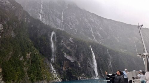 ミルフォードサウンドの遊覧クルーズで雨の日にしか現れないFour Sisters の滝も見られる