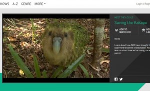 KakapoTVNZVideo