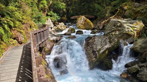 マリアンリバー沿いのボードウォーク