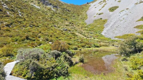 レッドターンの周りを周回で歩いて回れる遊歩道