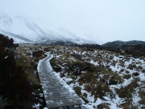 8月14日のマウントクックフッカーバレートラック