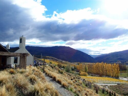 セントラルオタゴの人気ワイナリーレストランでランチを取っていただきます。