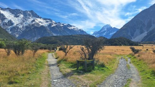ケアポイントとフッカーバレートラックへの分岐点 26'3月16日