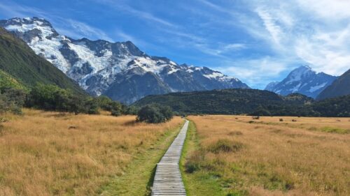 ケアポイントウォークのボードウォーク 26'3月16日
