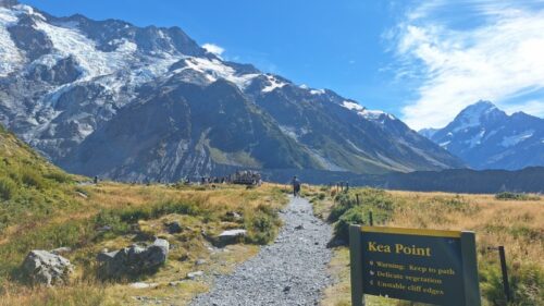 ケアポイント/Kea Point 26'3月16日