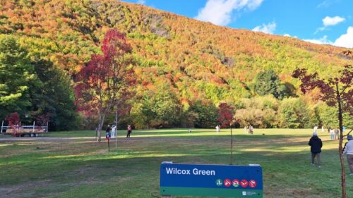 アロータウンの黄葉インスタスポット Wilcox Green 2026年4月18日