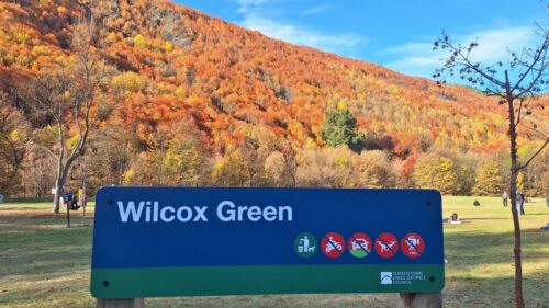 アロータウンの黄葉インスタスポット Wilcox Green 2026年5月4日