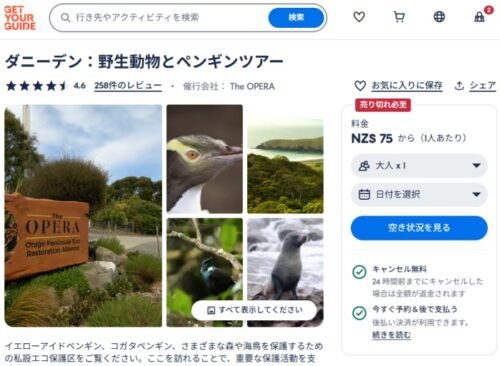 オタゴ半島のイエローアイドペンギンツアーをGet Your Guide で日本語オンライン予約