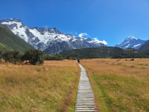 マウントクック25年2月のケアポイントトラック
