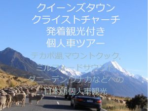 NZブリーズ観光つき個人車移動ツアー