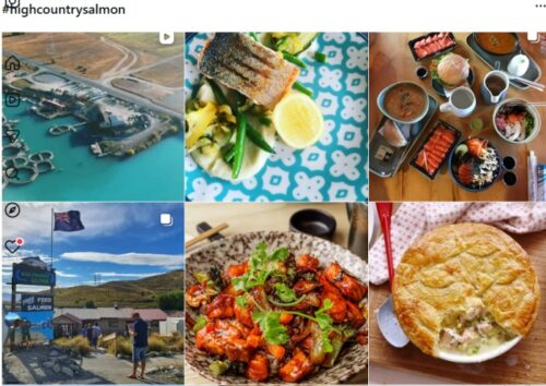 Twizelのハイカントリ・サーモンファームのインスタグラム投稿