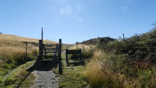 ロッキーマウンテントラックワナカ湖ビューポイント