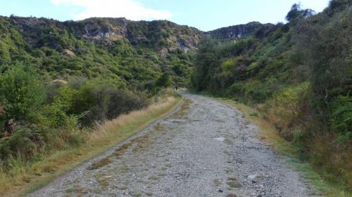 ダイヤモンドレイクへの坂道