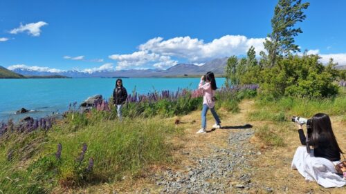 テカポの町の北側湖岸でルピナスの花を撮影している観光客