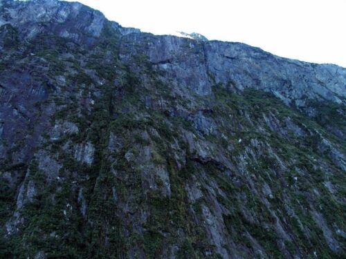 ミルフォードサウンド遊覧クルーズのハイライト岩壁を真上に見上げる