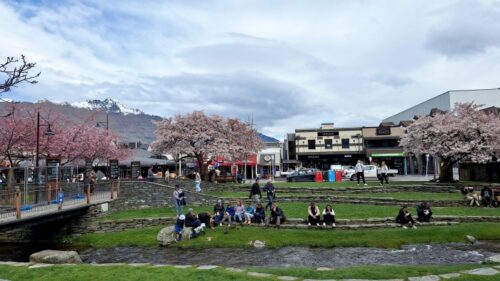 2025年9月24日クイーンズタウンVillage Greenの桜