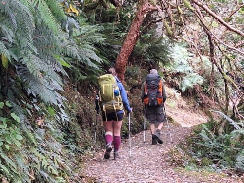 ルートバーントラック個人ウォーカー