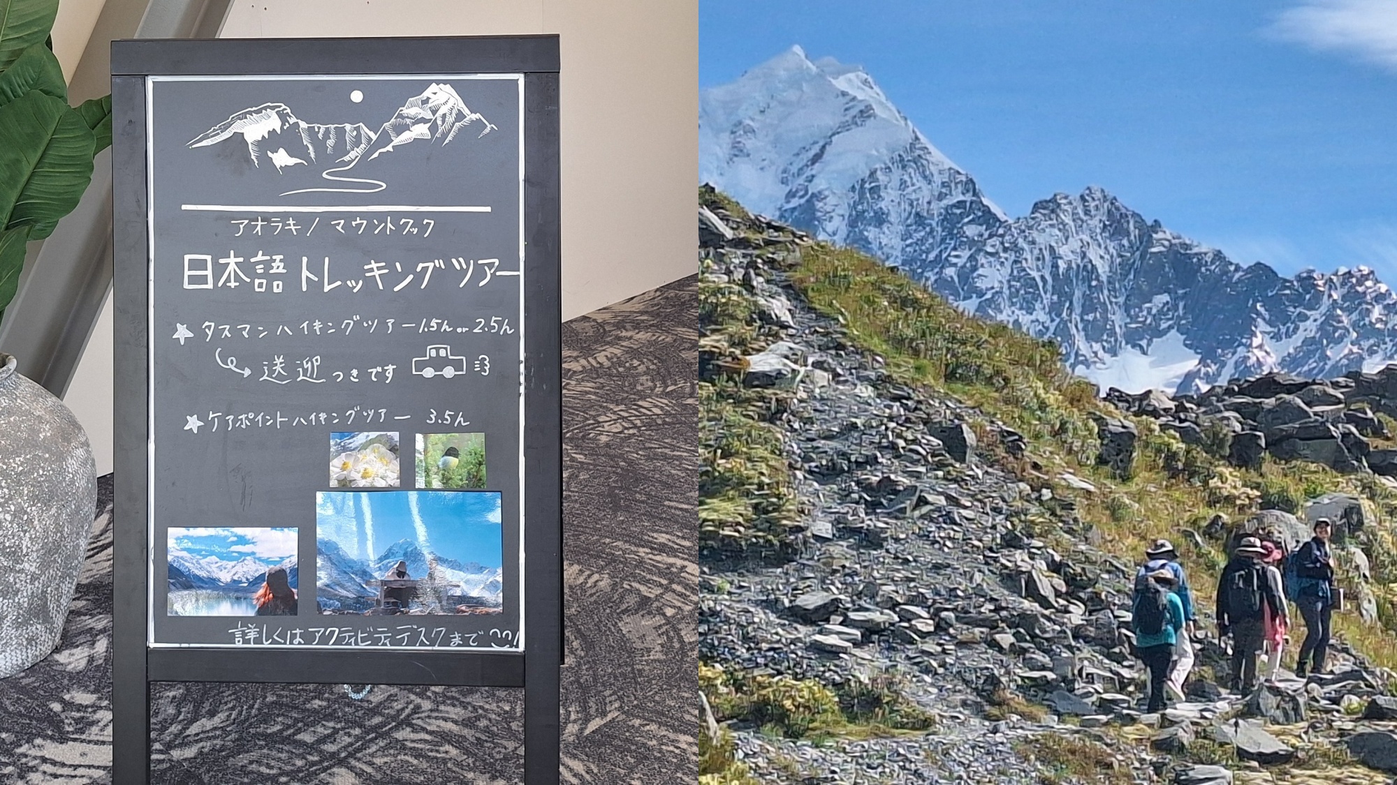マウントクック日本語ガイドトレッキングツアー
