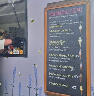 プカキ湖近郊のラベンダーファームのラベンダーアイスクリームメニュー