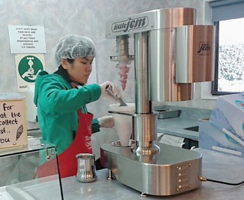 リアルフルーツアイスクリーム・マシーンにアイスと冷凍フルーツ投入