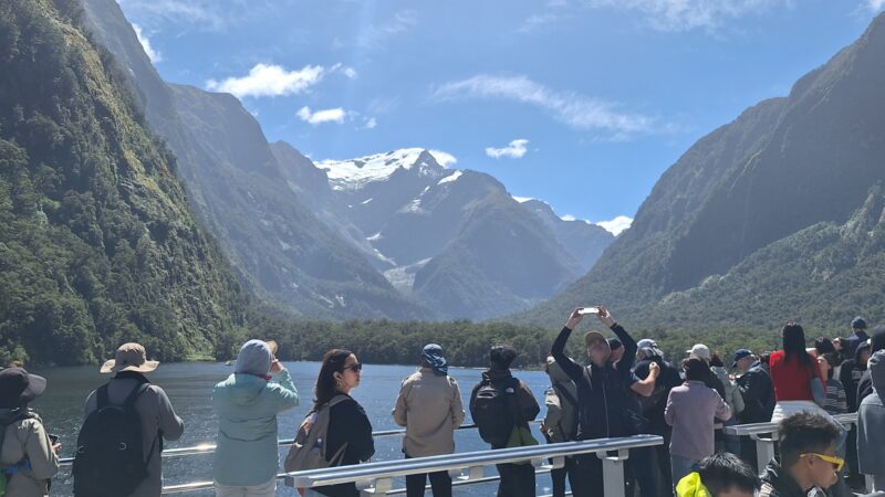 ミルフォードサウンド遊覧クルーズのハリソンの入り江で見れるマウントペンブローク