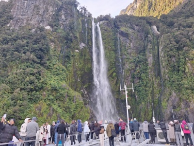 ミルフォードサウンド遊覧クルーズでのハイライト、スターリングの滝