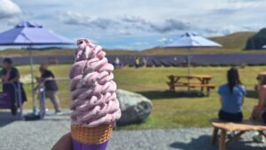 ラベンダーファームで食べられるラベンダーアイスクリーム