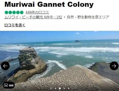 ムリワイ・ビーチ・ガネットコロニーの口コミ