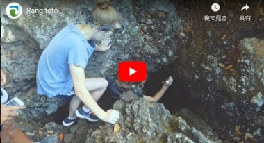 ランギトト・サミット・ウォークのDOC作成ユーチューブ動画