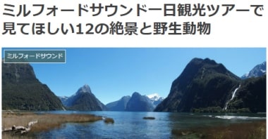 ミルフォードサウンド一日観光ツアーで見てほしい12の絶景と野生動物ブログ