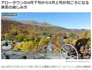 アロータウンの4月下旬から5月上旬が見ごろになる黄葉の楽しみ方ブログ