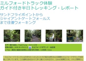 ミルフォードトラック体験半日ガイドウォーク体験レポート