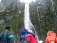 サザンディスカバリーミルフォードサウンドディスカバー・モアー・クルーズ