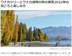 ワナカツリーとワナカ湖畔の秋の黄葉2022年の見ごろと楽しみ方ブログ