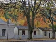 アロータウン秋の黄葉