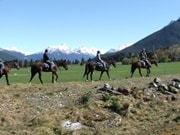 ハイカントリーホース