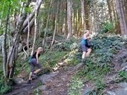 スカイライン展望台までのティキトレイル