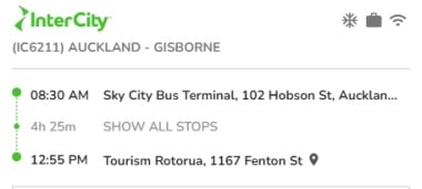 インターシティーバスオークランド発ロトルア行直行便