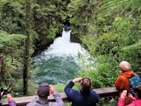 オケレ・フォールス