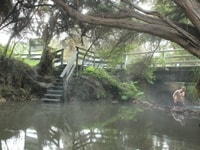 ワイオタプストリーム野泉