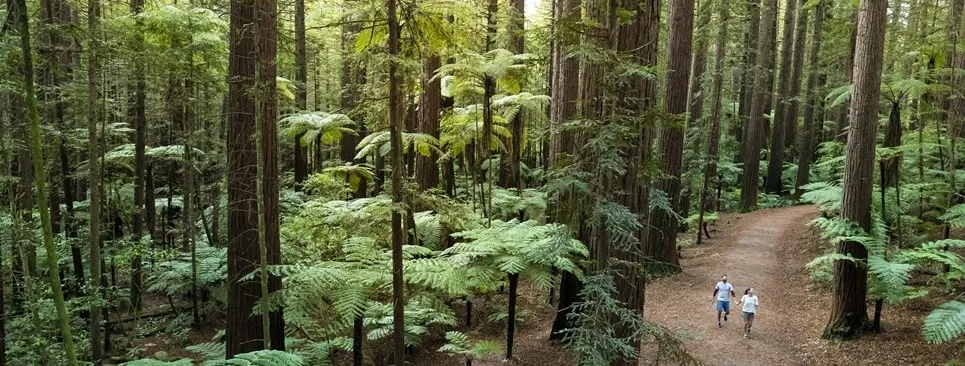 ロトルアレッドウッズ