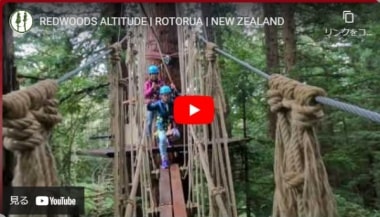 レッドウッド・ツリーウォークのPV