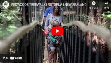 レッドウッド・ツリーウォークのPV