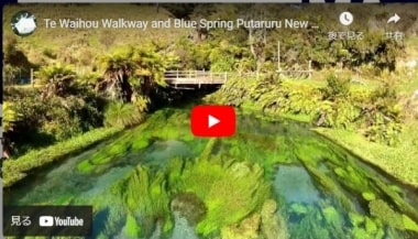 テ・ワイホウ・ウォークウェイのPV