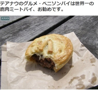 テアナウのグルメ・べニソンパイは世界一の鹿肉ミートパイ、お勧めです。ブログ
