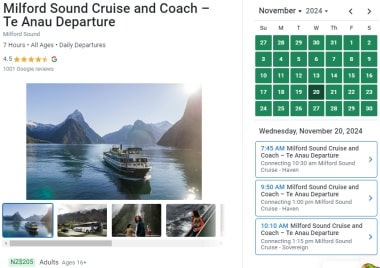 リアルNZ社のテアナウ発着ミルフォードサウンド観光ツアーオンライン予約ページ