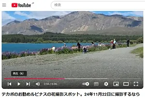 テカポのお勧めルピナスの花撮影スポットが分かるユーチューブビデオ