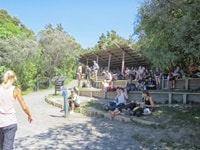 トンガリロ・アルパイン・クロッシングケテタヒ終着点